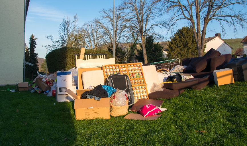 Property Cleanout